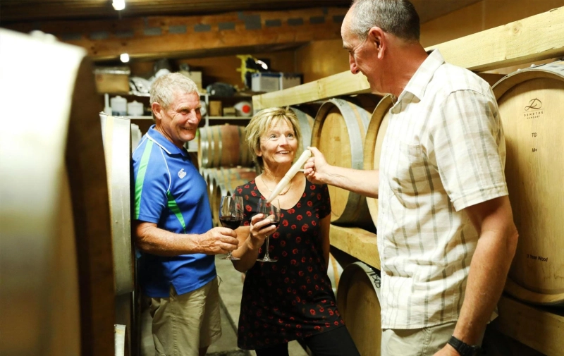 The Winemakers Tour: Premium Napier Cruise Tours & Wine Tour Experience