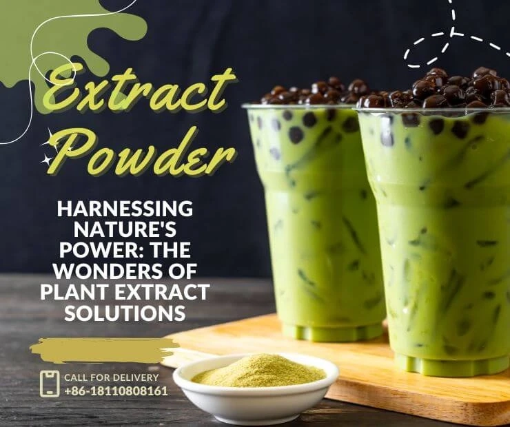 Harnessing Nature’s Power: The Wonders of Plant Extract Solutions