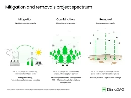 Carbon Mitigation: A Roadmap to a Sustainable Future