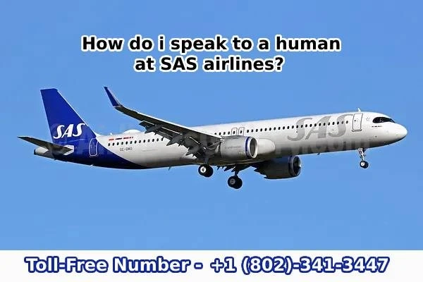 How do I check in with SAS airlines?