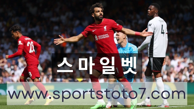 How Soccer Betting Addicts Can Use Important Statistics to Win