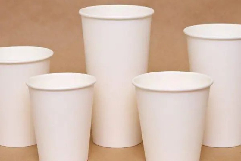 Are Compostable Cups the Future of Beverage Packaging?
