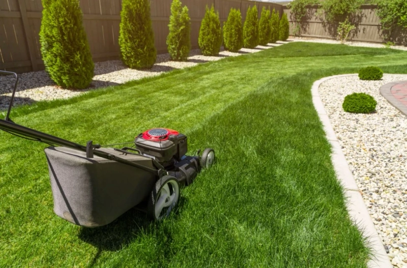 Simple Lawn Care Tips for a Great Looking Lawn