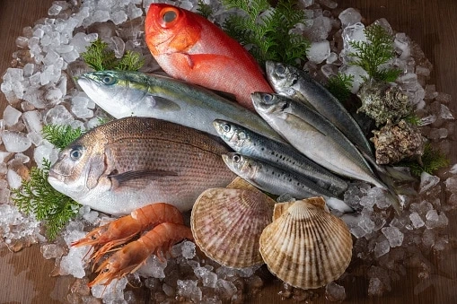 Frozen Seafood market Projected to Grow at a Steady Pace During 2020– 2027