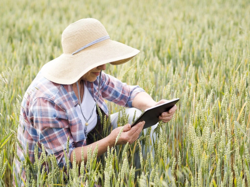 Farm Accounting: Building Financial Stability in Modern Agriculture