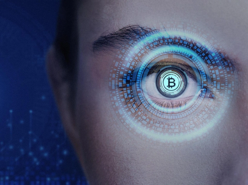 Findorex: Revolutionizing the Way You Investy