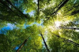 How Outcome-Based Pricing Is Redefining Business Models in 2026