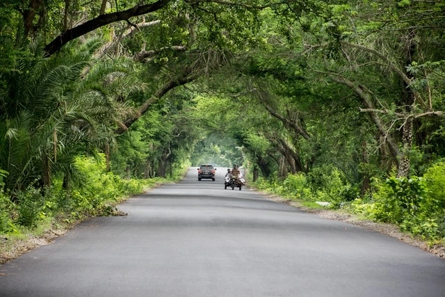 Preference of Concrete & Asphalt Roads