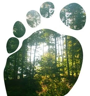 How to Contribute to a Greener Planet By Reducing Your Carbon Footprint