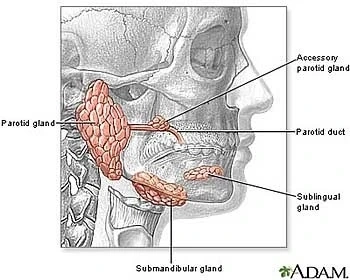 Benefits of Having Parotid Removal Surgery