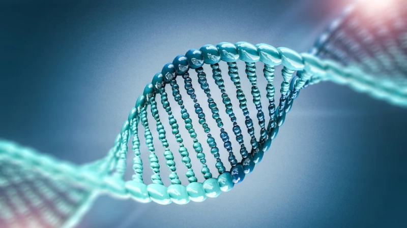 Global Oligonucleotide Synthesis Market Is Estimated To Witness High Growth Owing To Increasing Demand for Synthetic Oligonucleotides