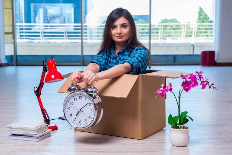 Navigating FedEx Operational Delays: Understanding, Impacts, and Solutions