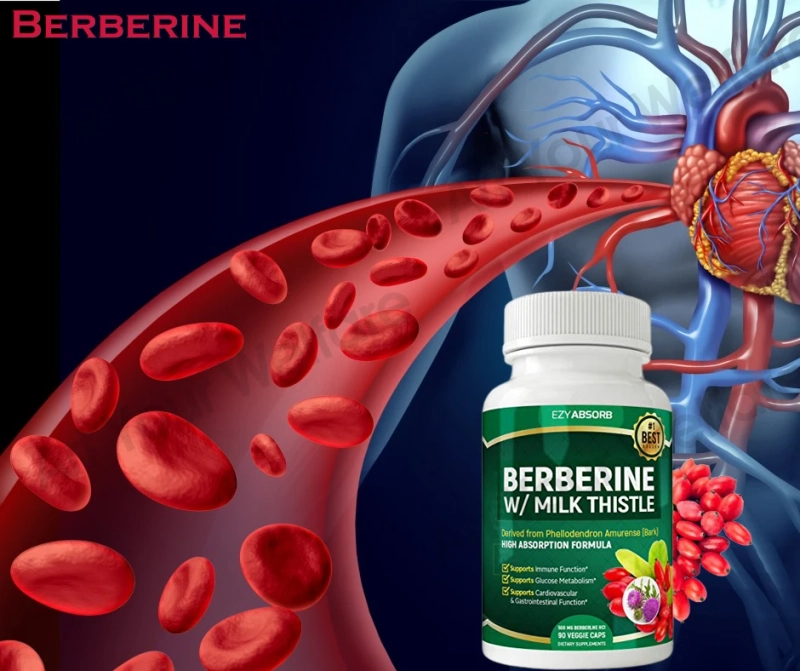 Berberine Review - Cure Diabetes Quickly