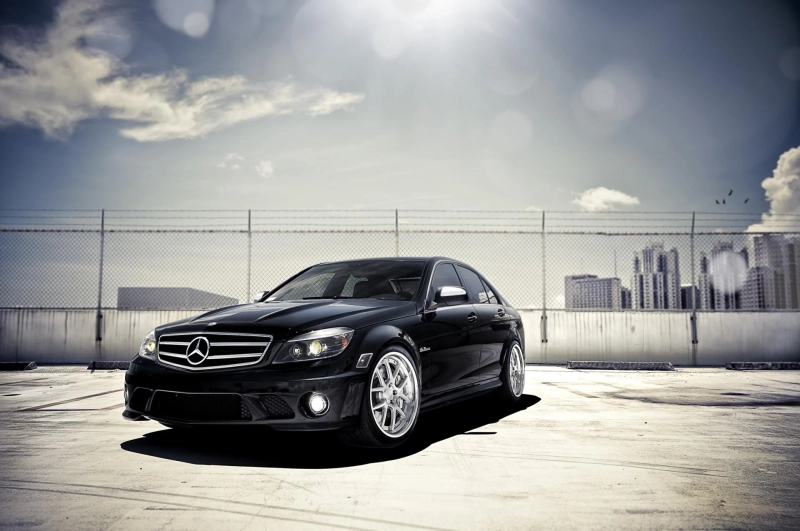 Pet friendly car rental: bring your buddy along!