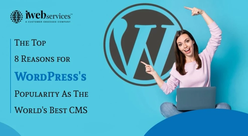 The Top 8 Reasons for WordPress's Popularity As The World's Best CMS