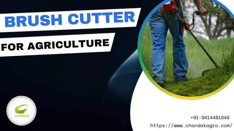 Top 10 Uses of Brush Cutter and Advantages for Indian Agriculture