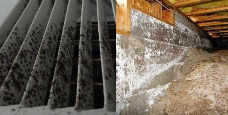 How Much Does It Cost To Remove Mold From Air Ducts?