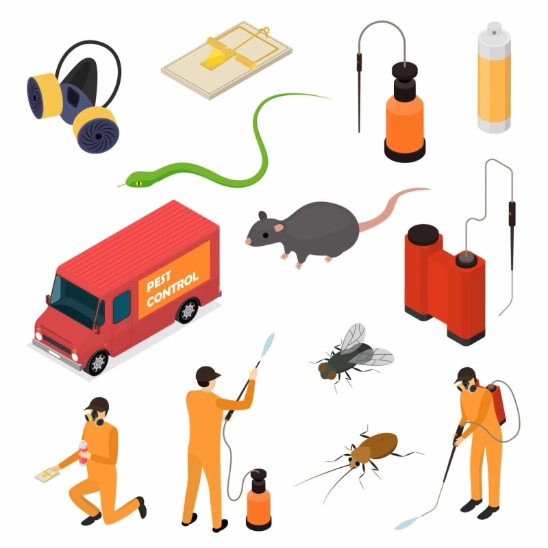 Make pest control in southeast London easy by hiring experts