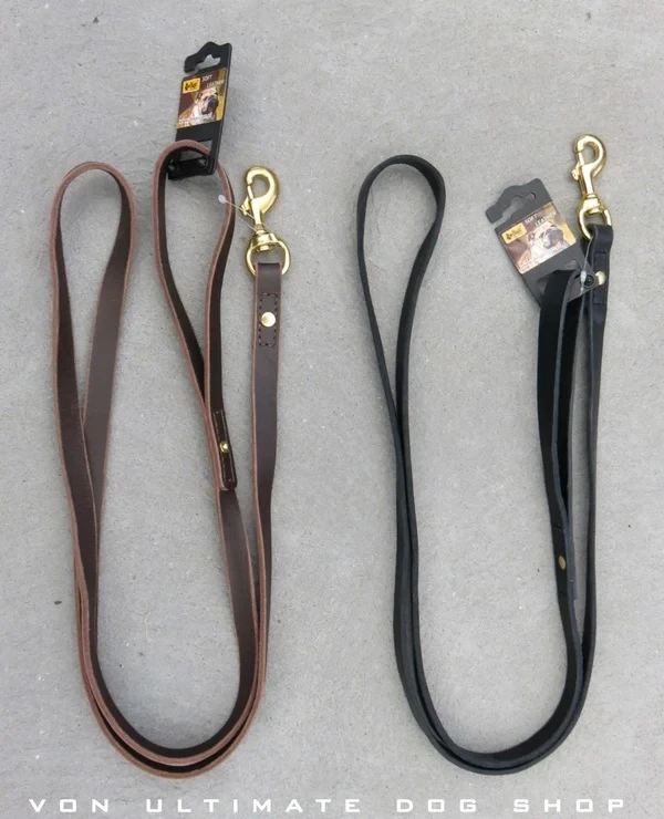Why Every Dog Owner Should Have Both: Slip Leads for Training, Leather Leads for Daily Walks