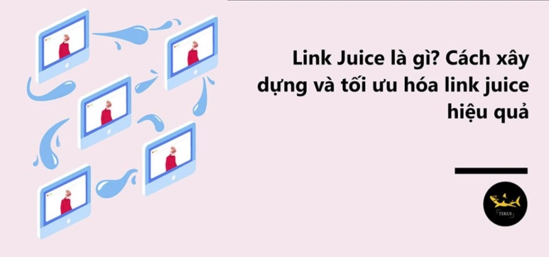 Link Juice - Backlink tối thượng mọi SEOer đều mong muốn có