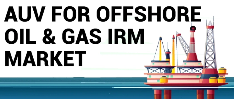 Auv For Offshore Oil And Gas Irm Market Demand and Forecast 2024- 2029