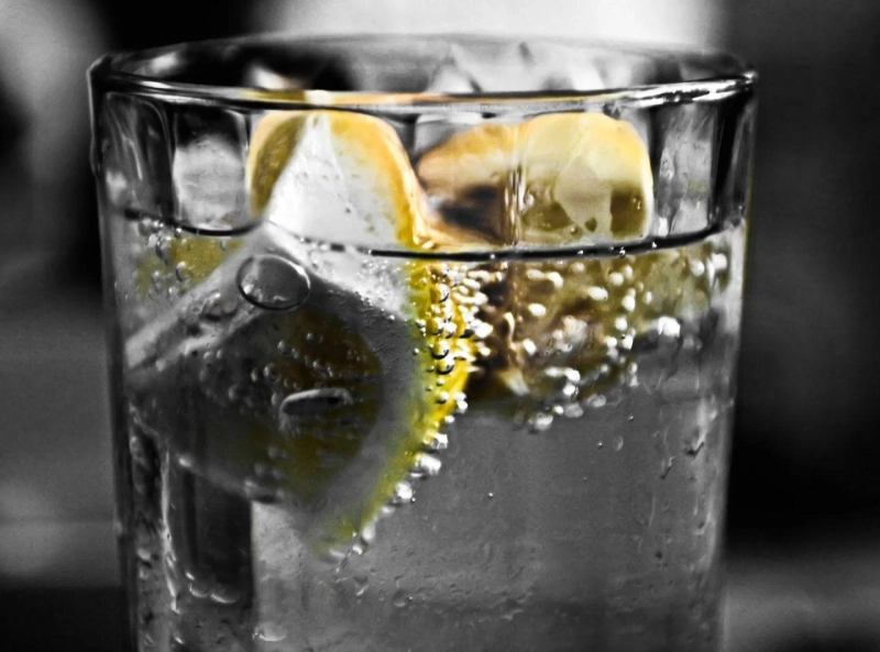 The Different Types of Gin and What Makes Them Special