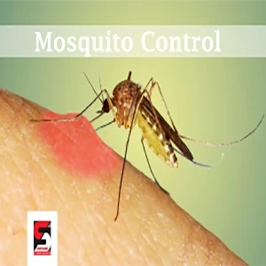 Pest Control Services in Bandra by Sadguru Pest Control