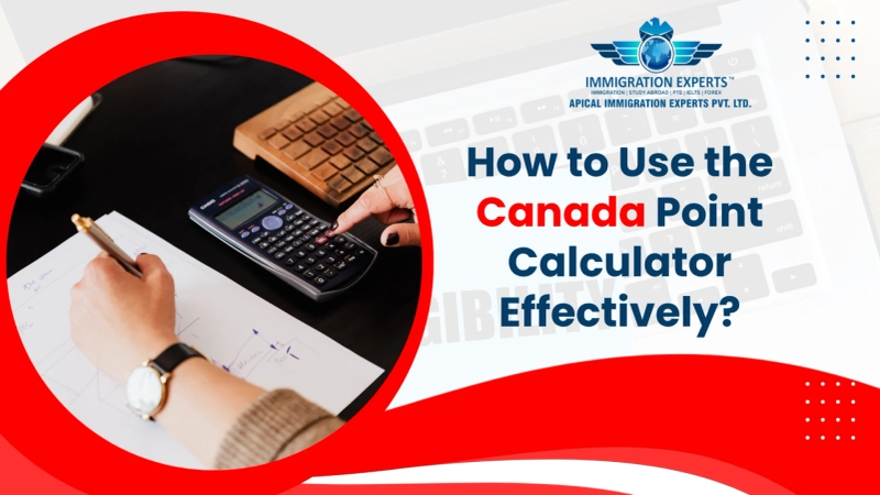How to Use the Canada Point Calculator Effectively?