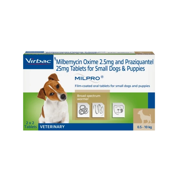 The Impact of Deworming on Your Dog’s Digestive Health