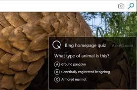 Quiz about how to play and earn prizes on the Bing homepage.