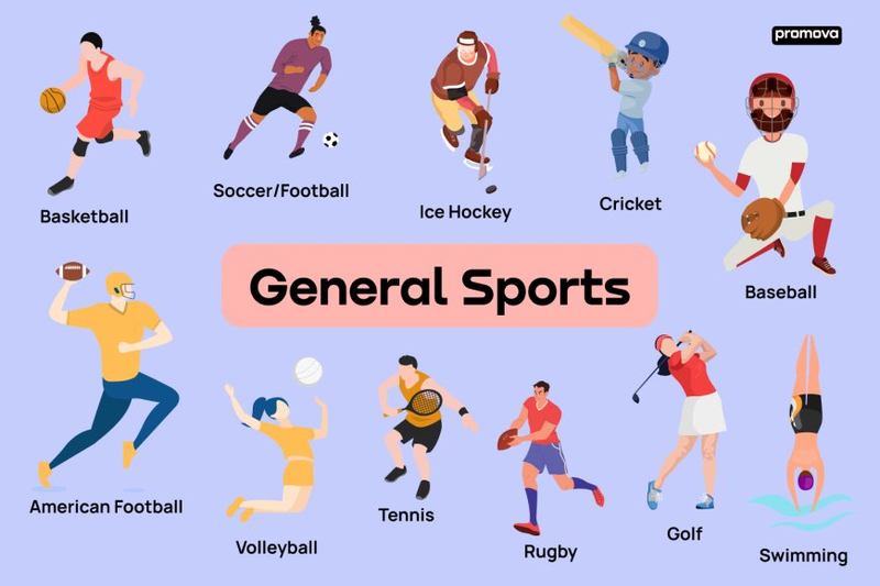 Unveiling Live Sports Streaming: A Comprehensive Analysis of Top Platforms