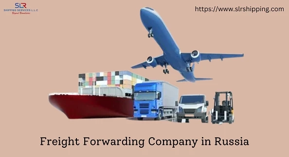 What Role Do Freight Forwarding Companies Play in The Industry?