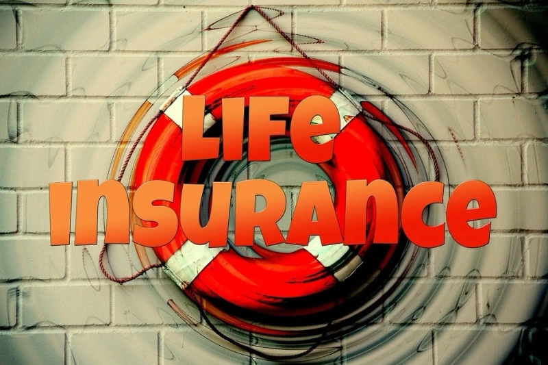 Distinctive Types Of Life Insurance Plans in India You Need to Know