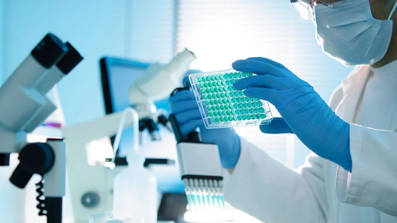 CRO Services at the High Table of Drug Discovery