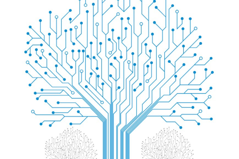 Csmart Synapse 5G Solutions