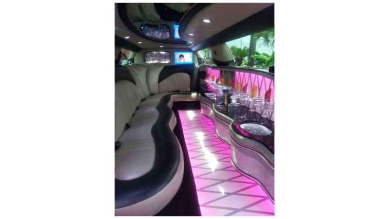 Which Galveston Party Bus Rental is Best for Bachelor/Bachelorette Parties?