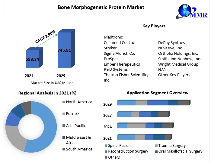 Global Bone Morphogenetic Protein Market Growing Trends, Revenue, Leading Players and Top Manufacturers