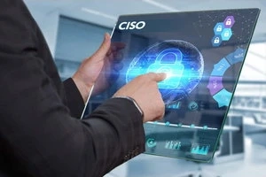 Cyber security consulting services