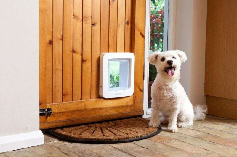 The closing guide to the Great Canine Doorways