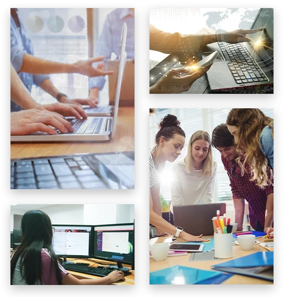 Enhance Bottom-Line Efficiency With Online Data Collection Services
