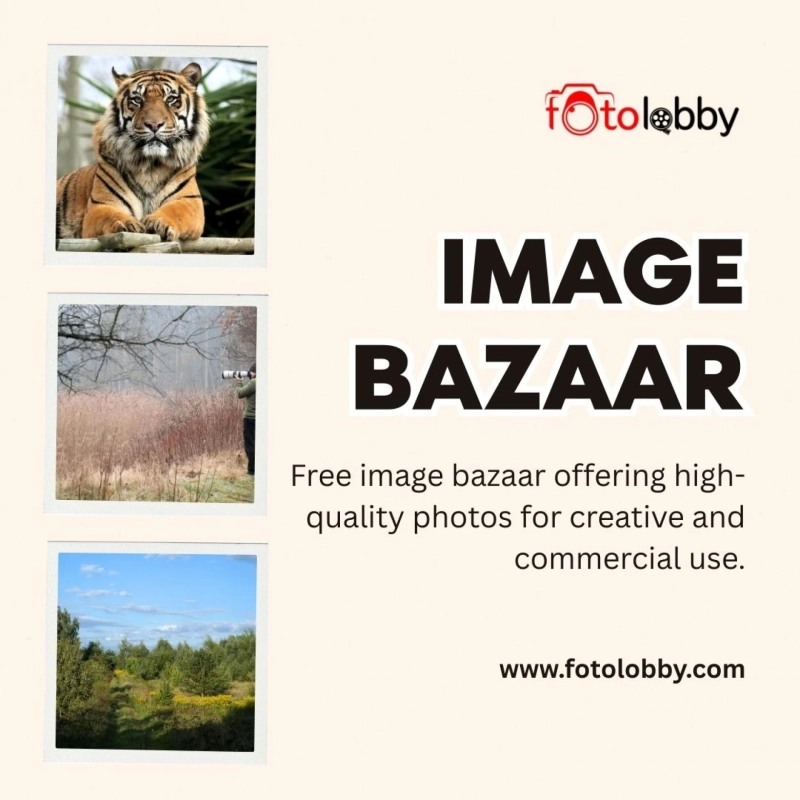 Image bazaar and the Use of Images in Digital Storytelling
