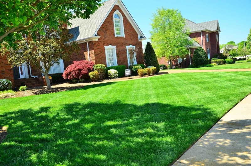 Landscaping Services Crafting Beautiful Outdoor Spaces