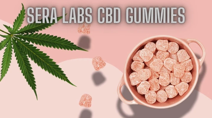 Sera Labs CBD Gummies Reviews & Benefits