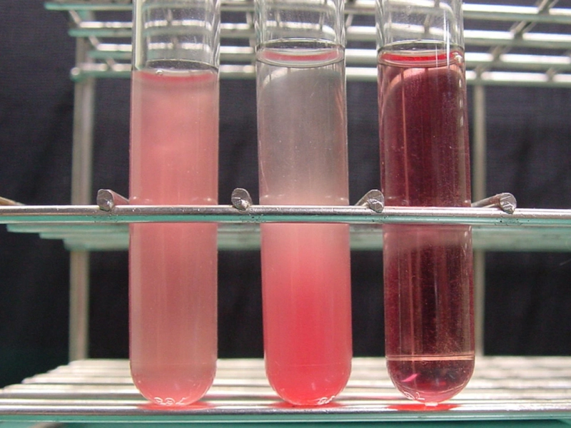 Benefit of the new Blood Molecular Biology Tubes Technology Is That It Can Be Applied To a Broad Spe
