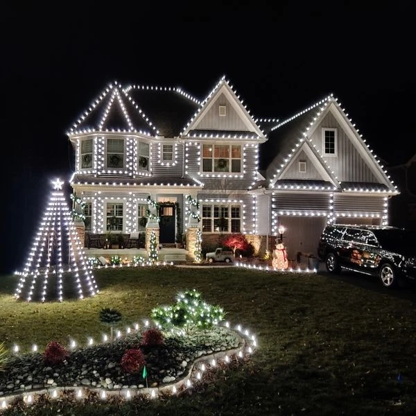 Permanent Lights: A Smart, Stylish, and Long-Lasting Lighting Solution