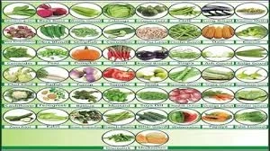 Global Fruits & Vegetable Seeds Market Future: Forecasting the (2024-2033)