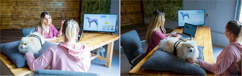 Bioresonance Technology at Oberon Veterinary: Enhancing Pet Health