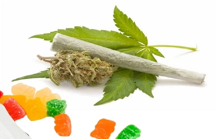 Exploring Different Consumption Methods for Medical Cannabis: Smoking, Vaping, and Edibles