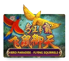 Bird Paradise-Flying Squirrels Slot Game Review