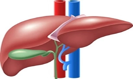 Renowned gastroenterologist offering complete liver care